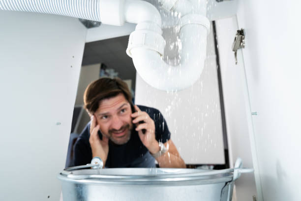 Best Local Plumber Services  in Kingwood, WV